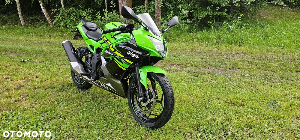 Kawasaki Ninja - 1