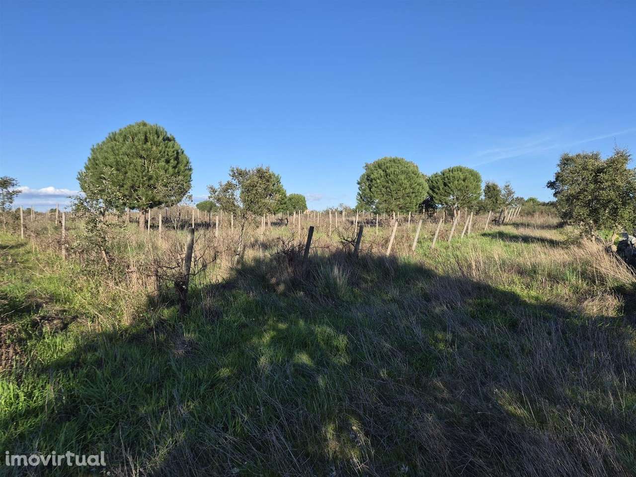 Quinta - Grande imagem: 4/10