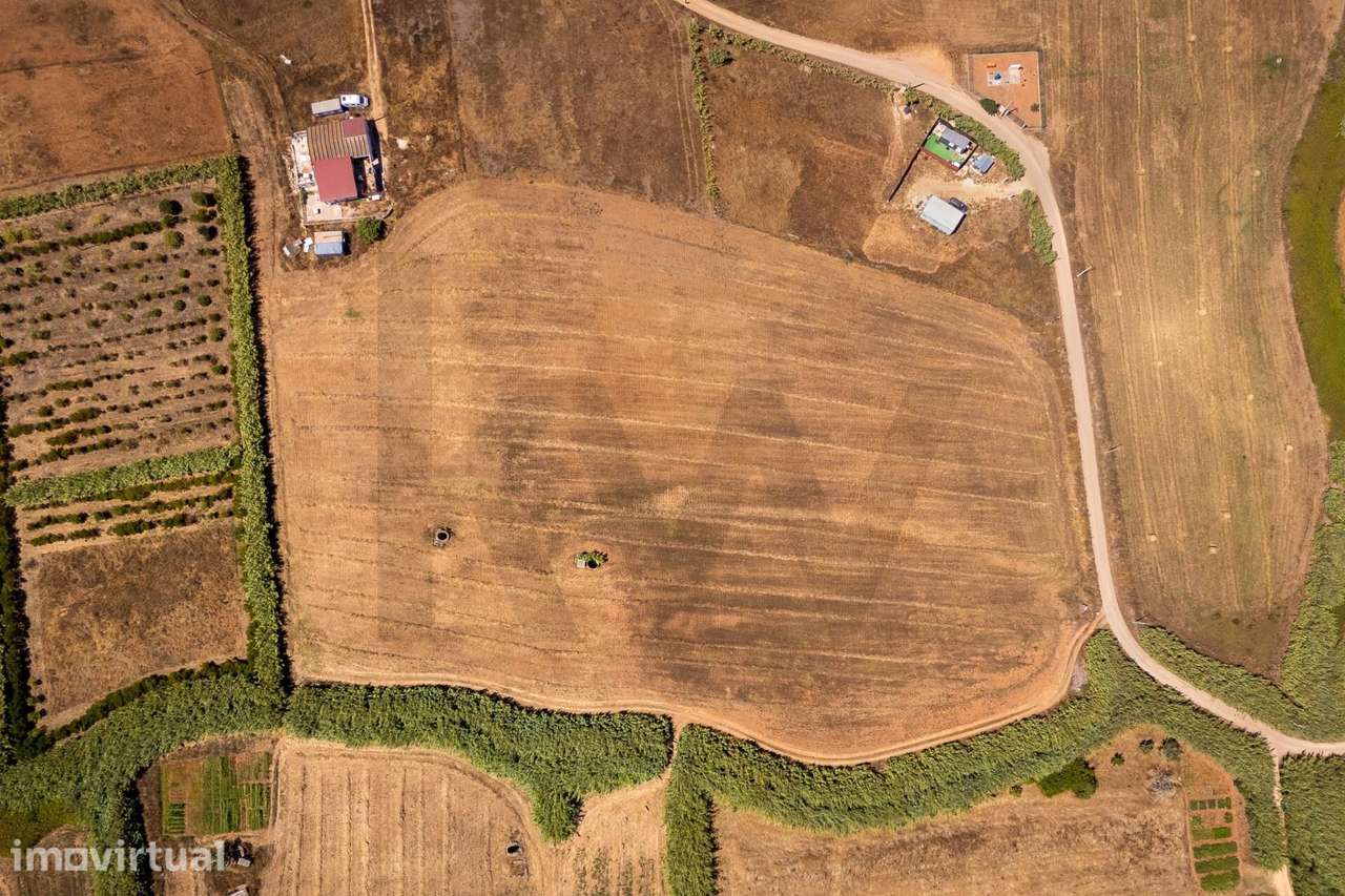 Terrenos rústicos com três poços, em Vila do Bispo - Grande imagem: 4/11