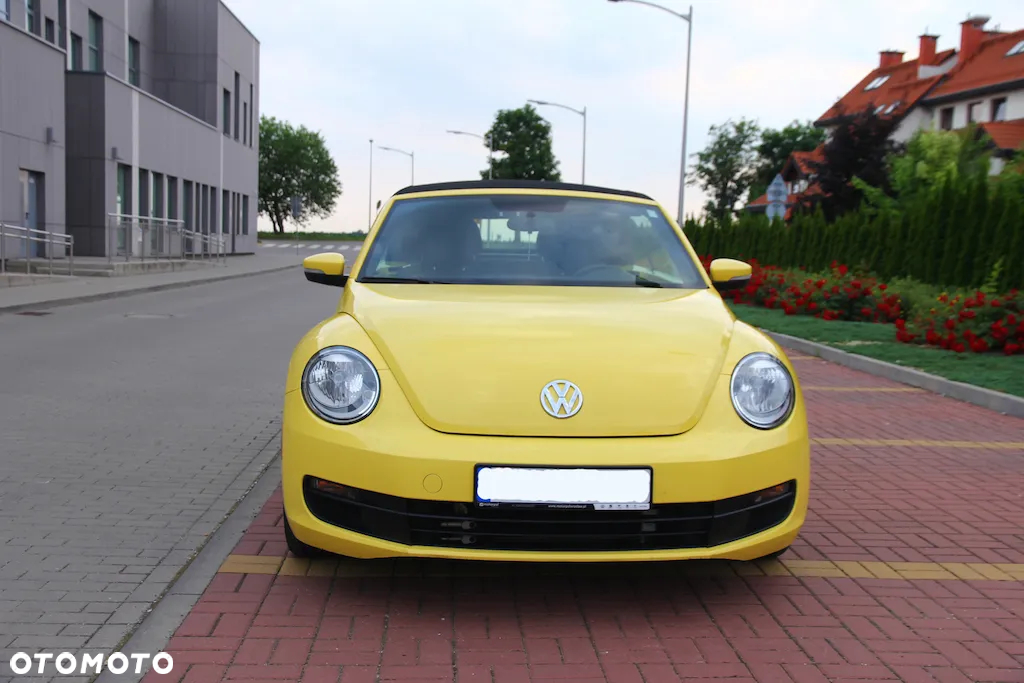 Volkswagen Beetle - 5