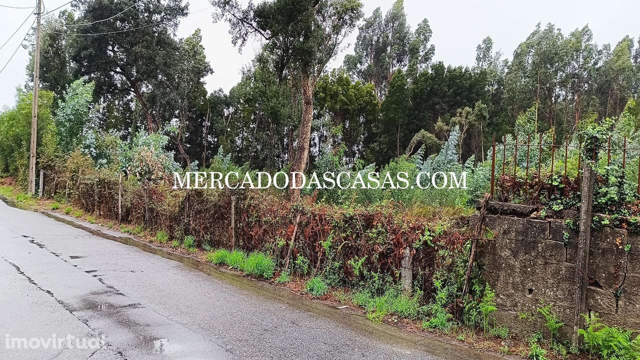 Terreno em Nogueira da Regedoura - Grande imagem: 3/6