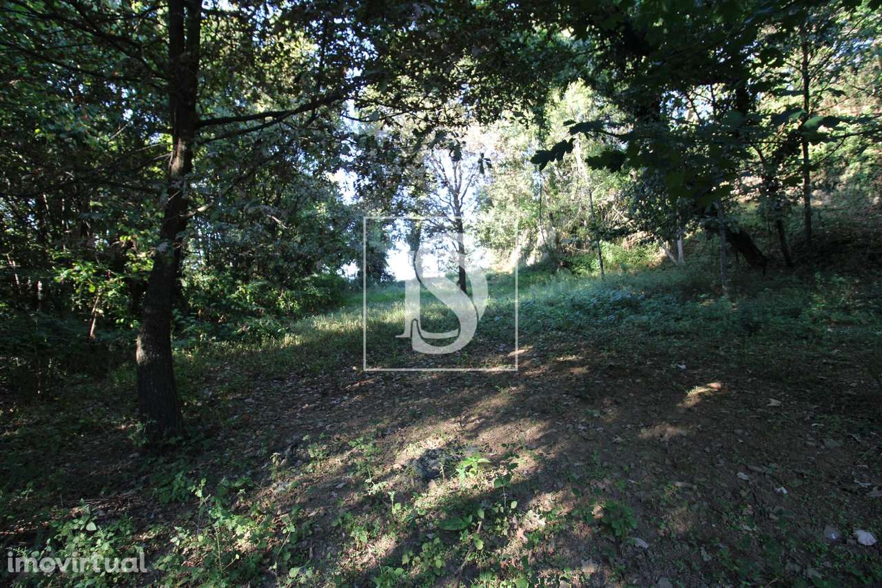 Terreno  Venda em Rebordelo,Amarante - Grande imagem: 2/3