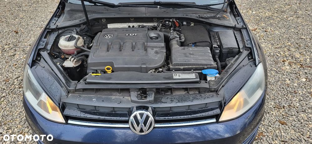 Volkswagen Golf 1.6 TDI BlueMotion Technology Trendline - 33