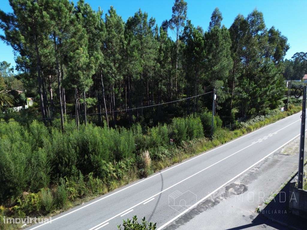 Terreno com cerca de 7700m2, bem localizado, no centro de Santa Mar... - Grande imagem: 3/23