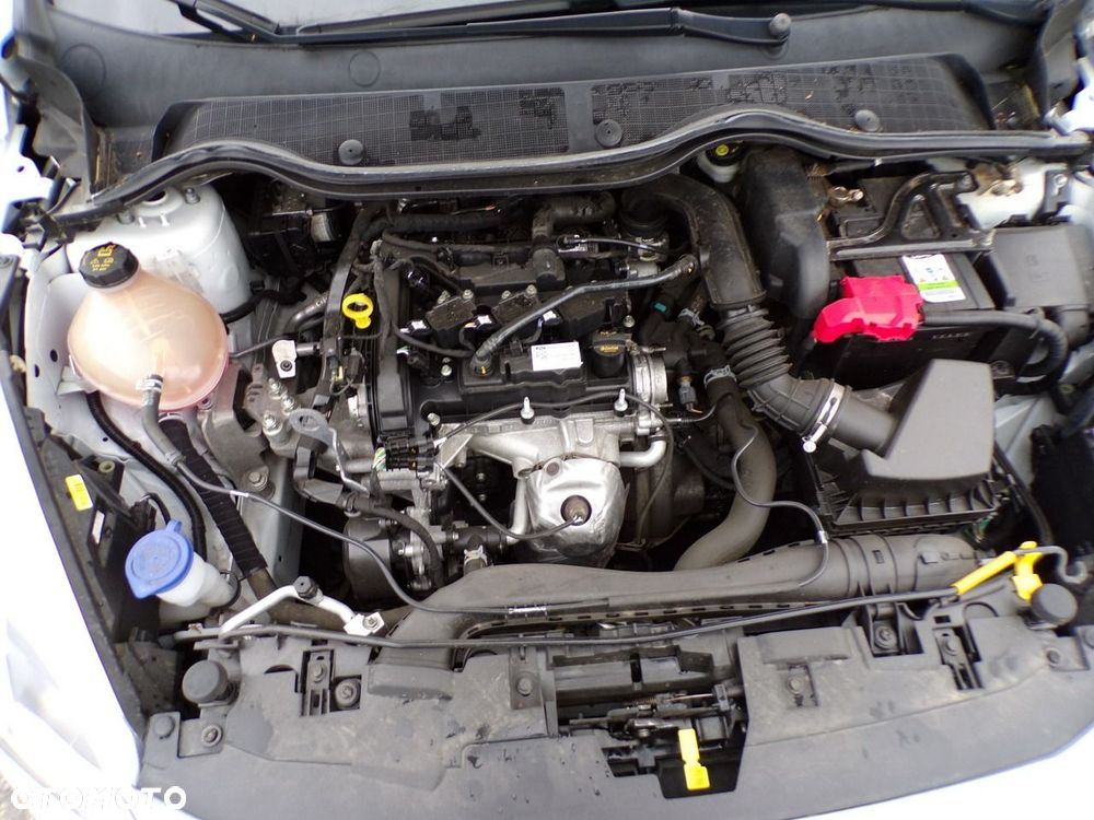 Ford Fiesta - 23