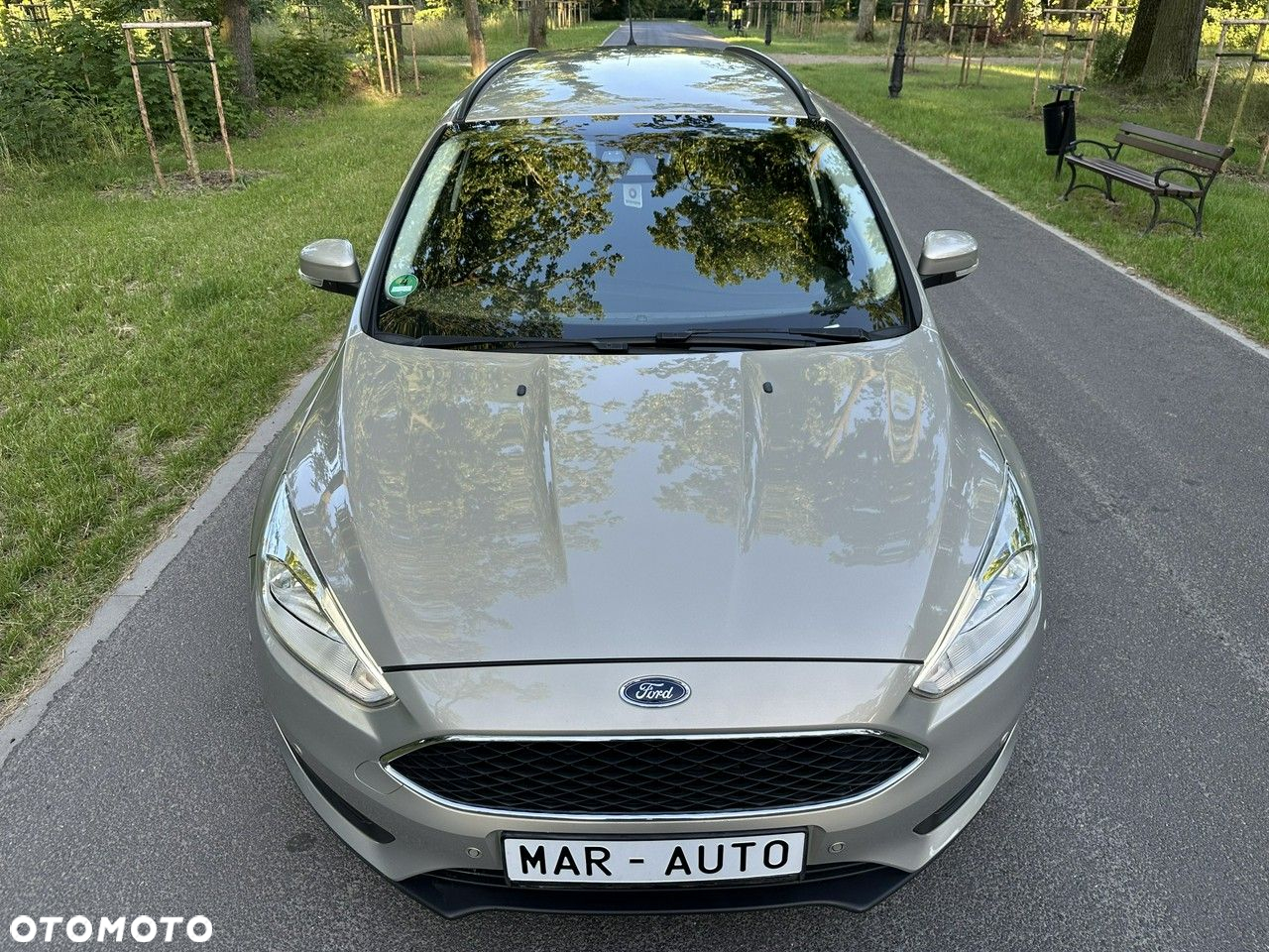 Ford Focus - 16