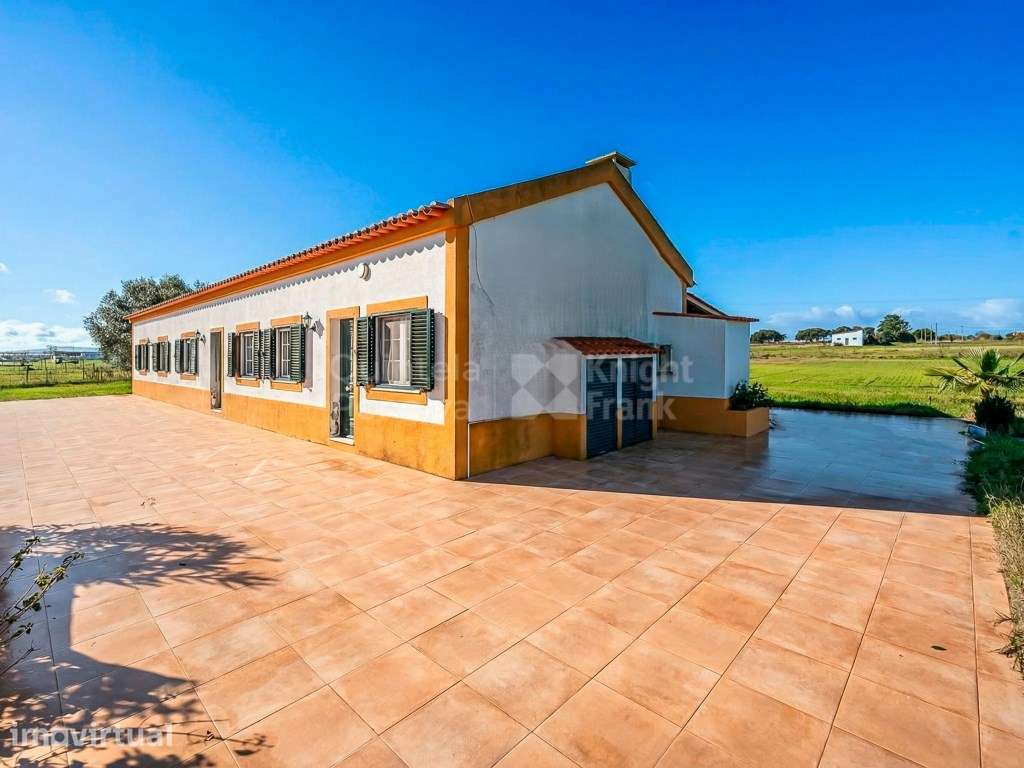 Quintinha com 2,5 hectares e moradia T3 no Montijo - Grande imagem: 2/25