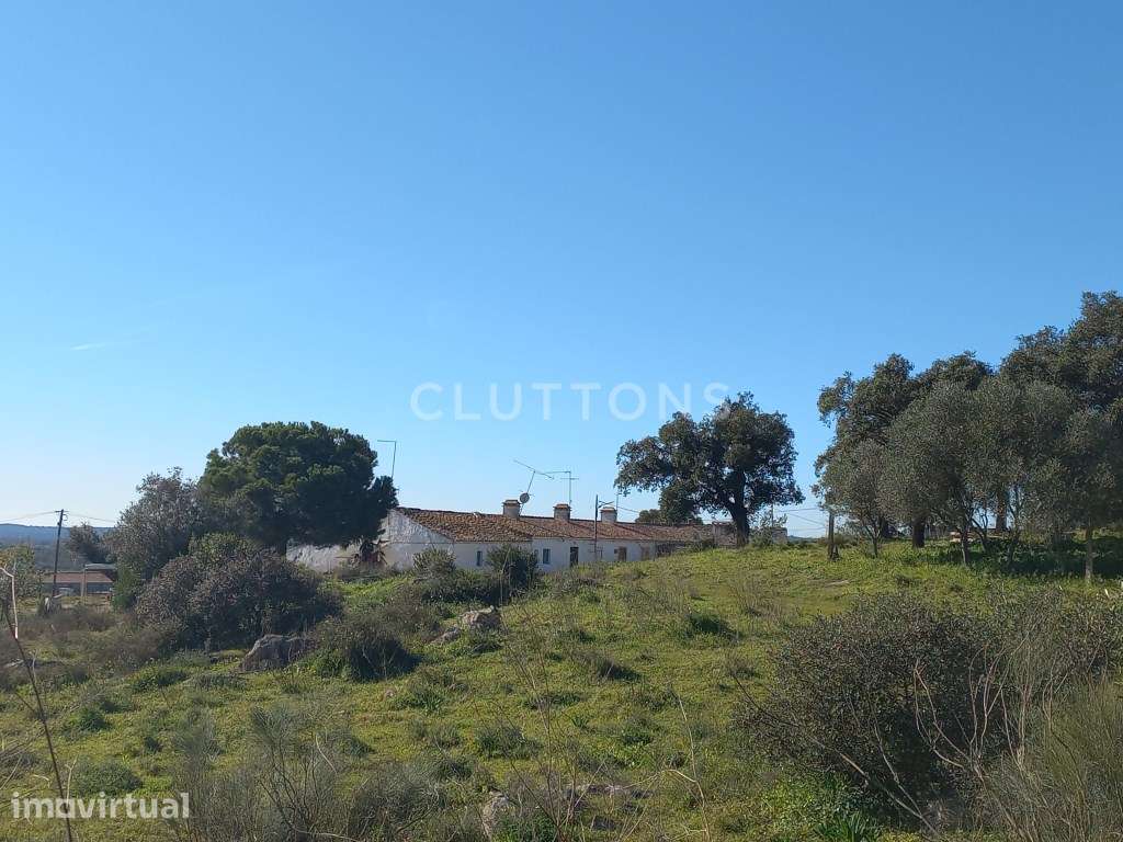 Terreno - Quinta, Investimento, 12 hectares e 844 m2 edificados, Évora - Grande imagem: 2/28