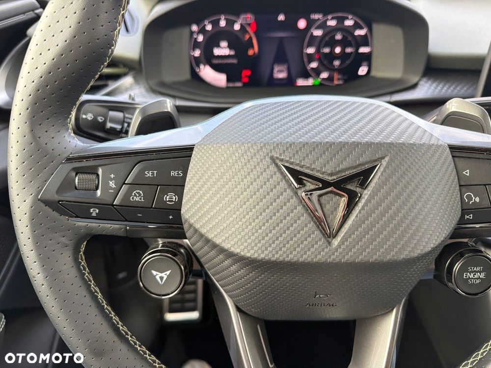 Cupra Terramar - 29