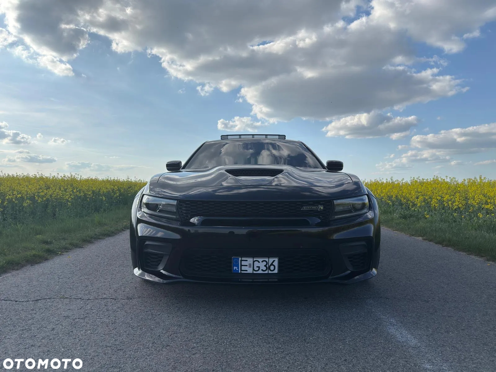 Dodge Charger 6.4 Scat Pack Widebody - 8