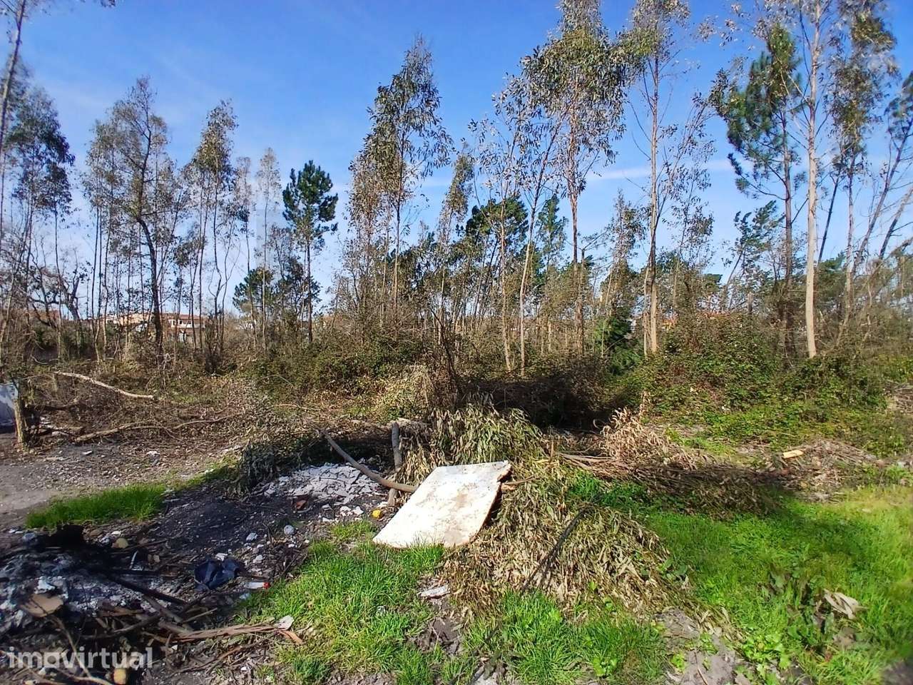 Terreno com 10.712 m2 – Embra, Marinha Grande - Grande imagem: 3/29