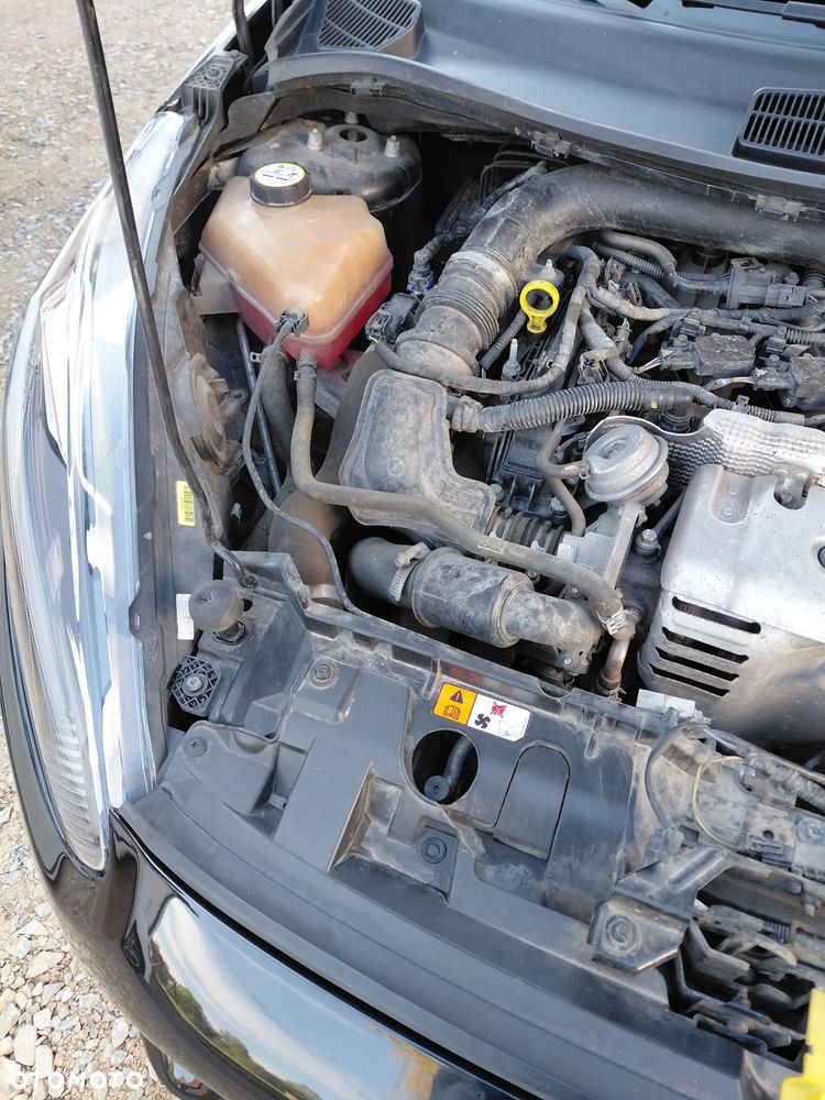 Ford Fiesta - 6