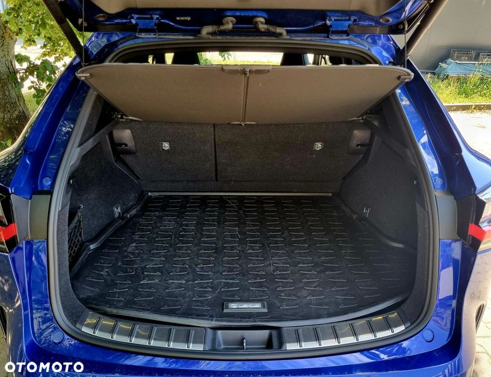 Lexus NX - 15