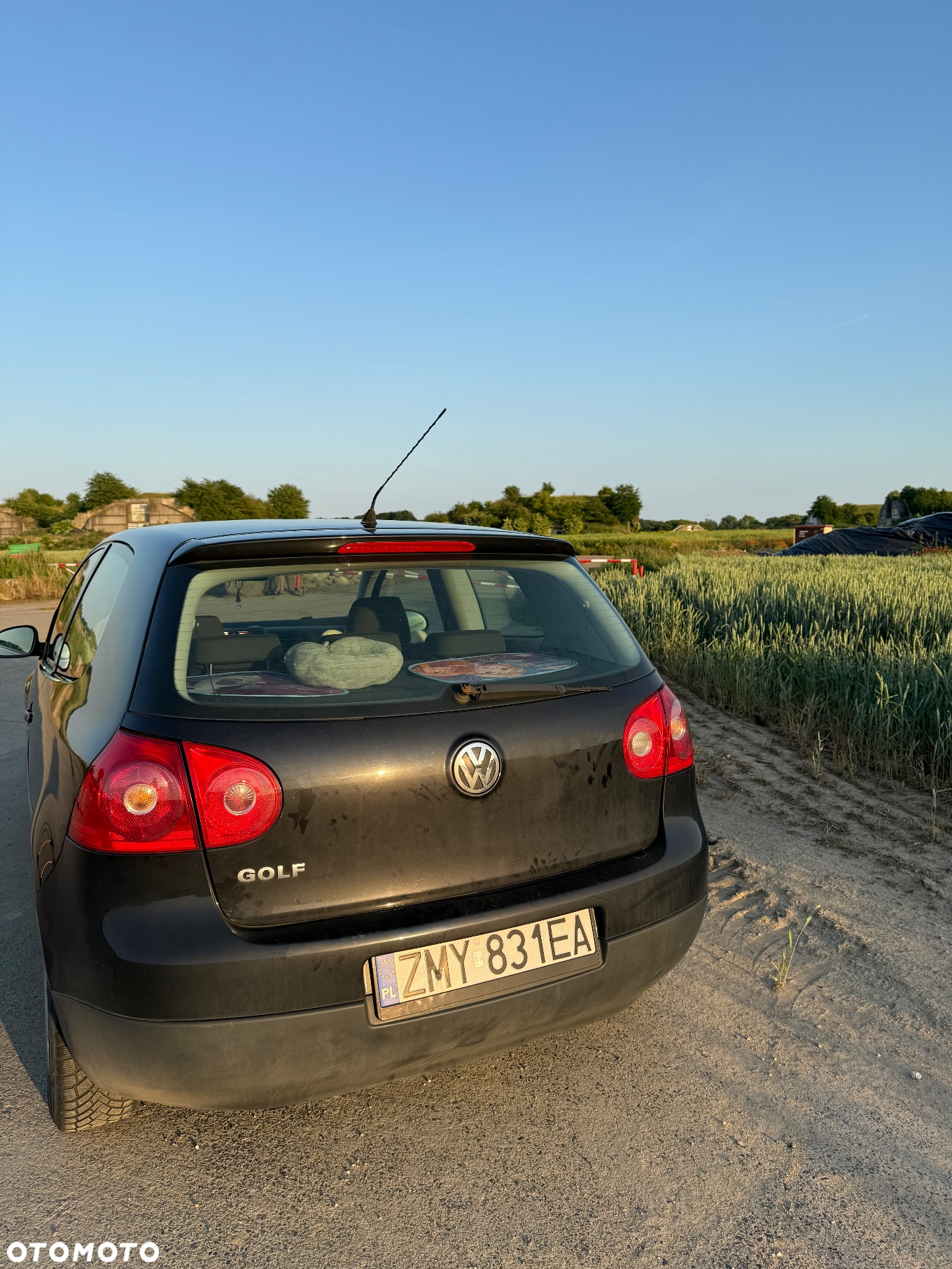 Volkswagen Golf - 7