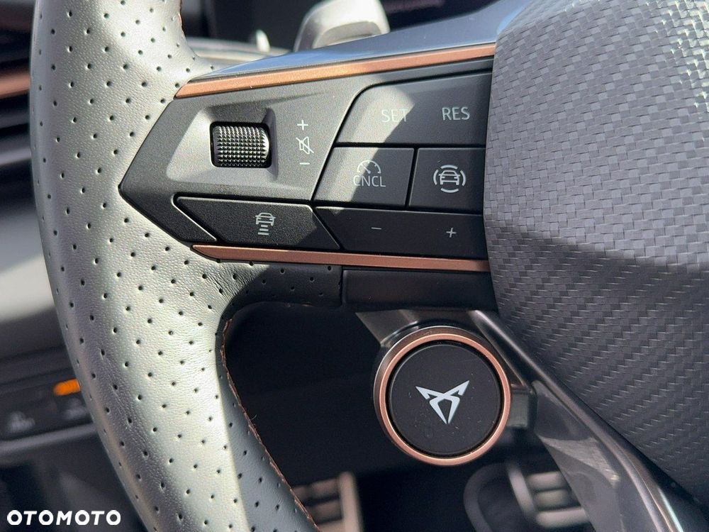 Cupra Terramar - 19