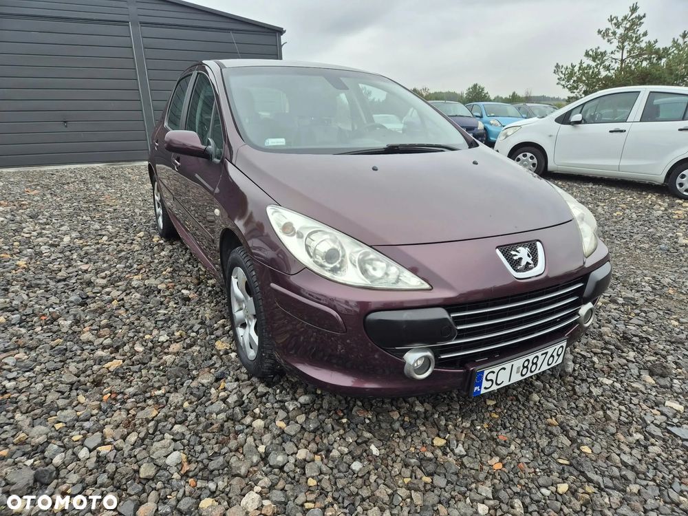 Peugeot 307 1.6 Premium - 7
