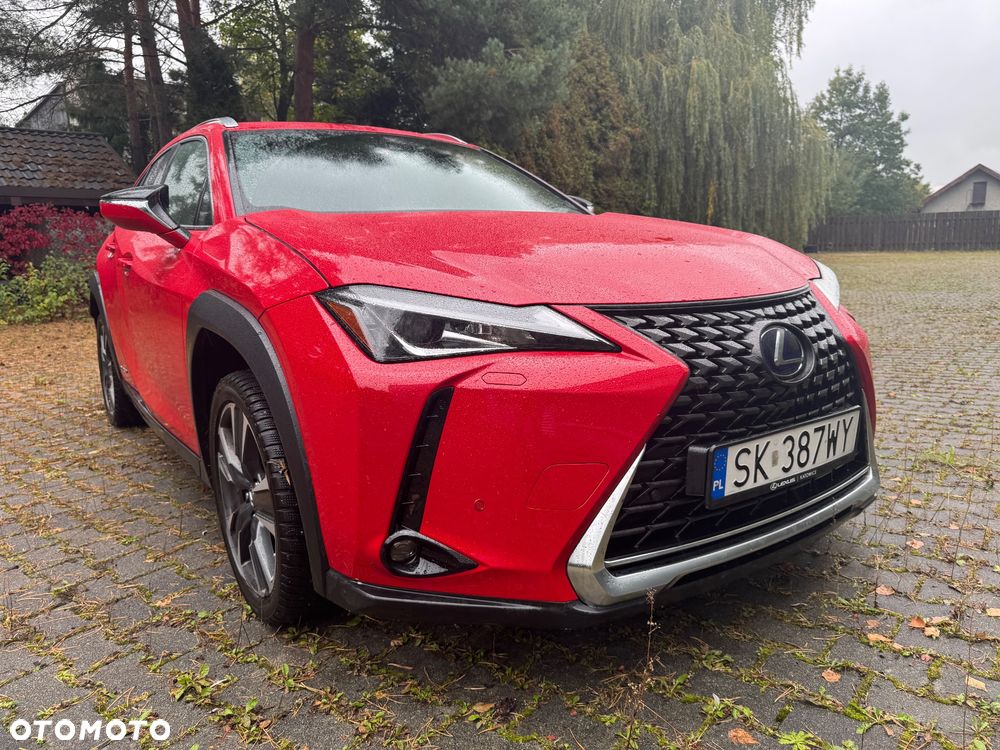 Lexus UX 250h GPF Business Edition 2WD - 3