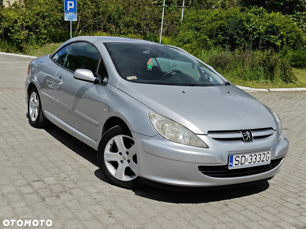 Peugeot 206 CC 110 Sport - 13