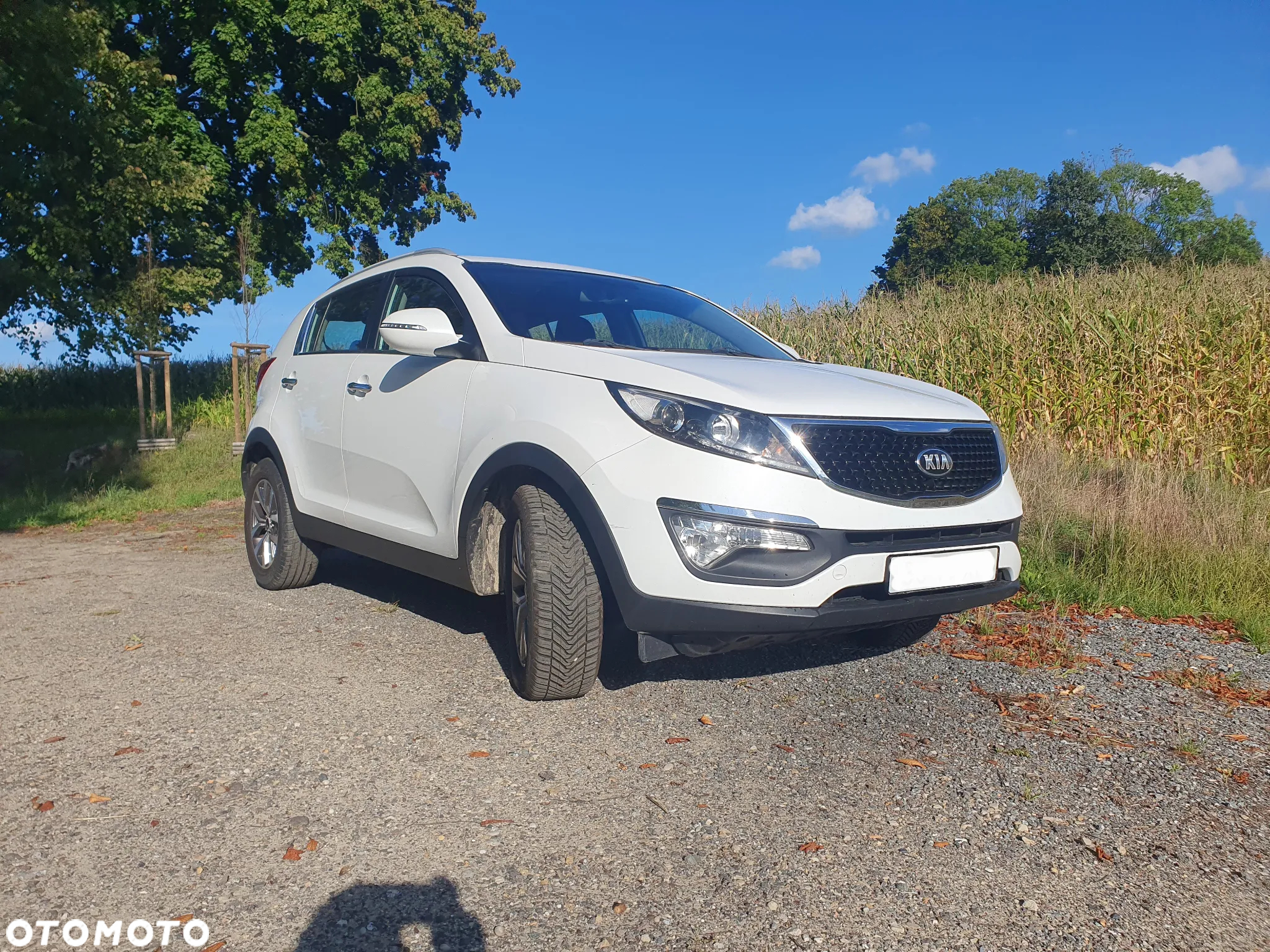 Kia Sportage 1.6 GDI Business Line 2WD - 14