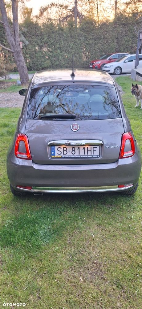 Fiat 500 - 6