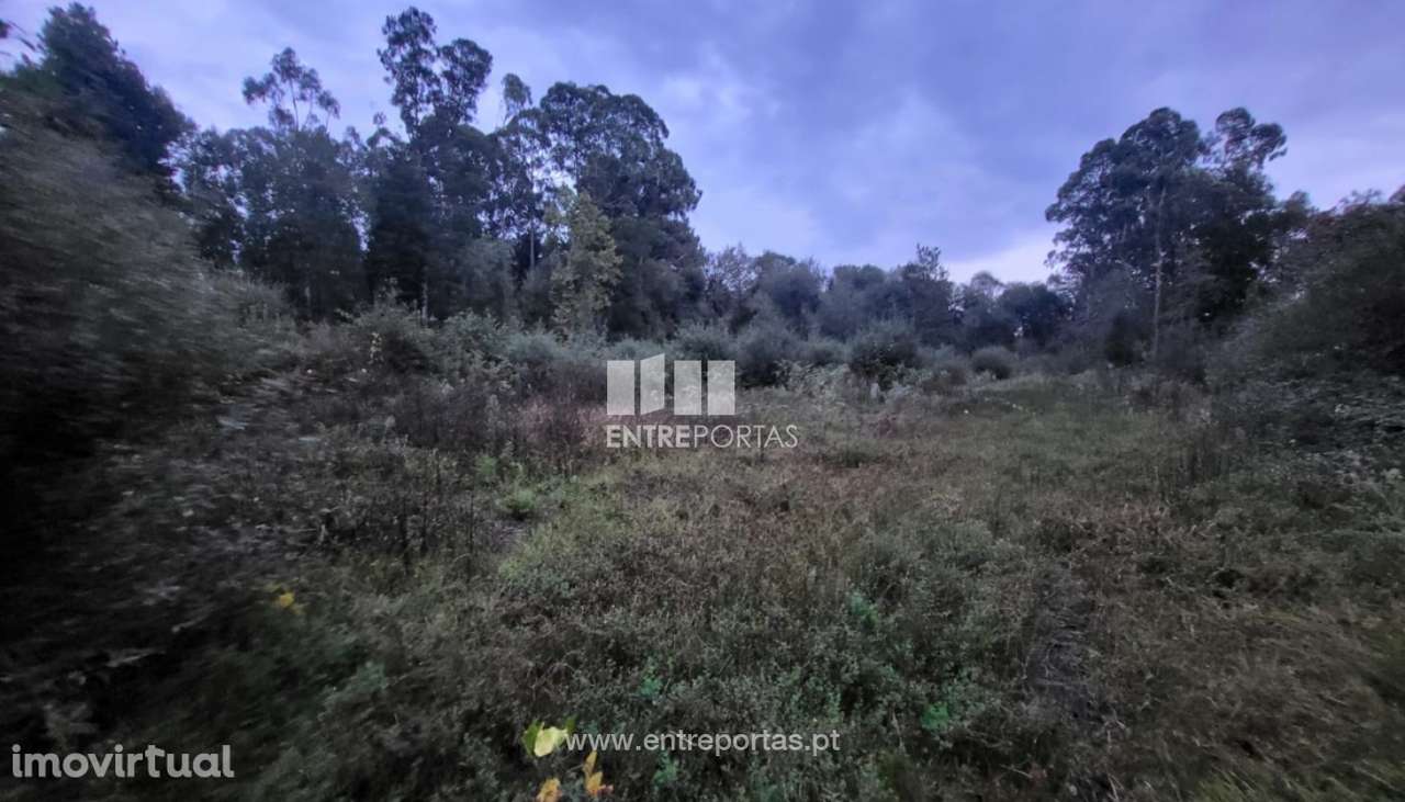 Venda de terreno florestal c/ 4590m², Vila Franca, Viana do Castelo - Grande imagem: 5/30