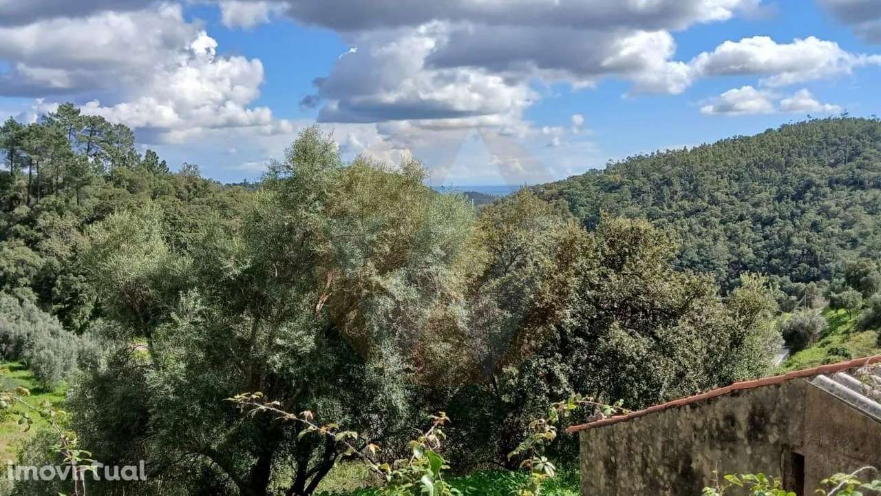 Quintinha Monchique - Grande imagem: 3/6