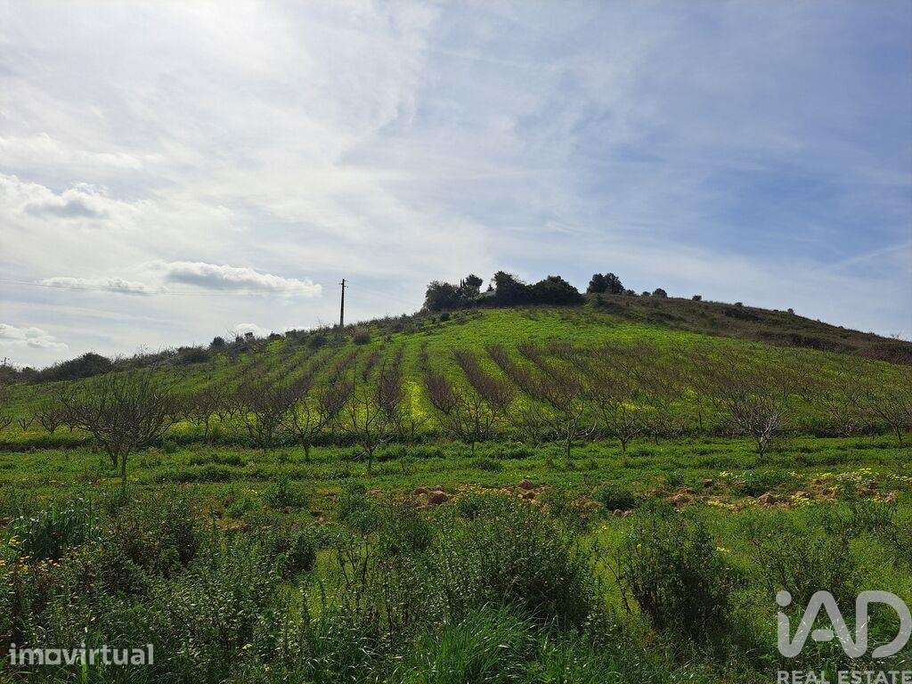 Terreno em Azueira e Sobral da Abelheira de 21437,00 m2 - Grande imagem: 3/23