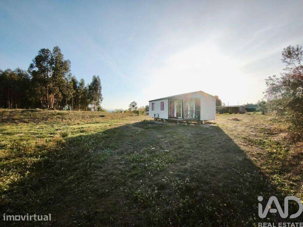 Terreno Agrícola em Nelas - Grande imagem: 2/9