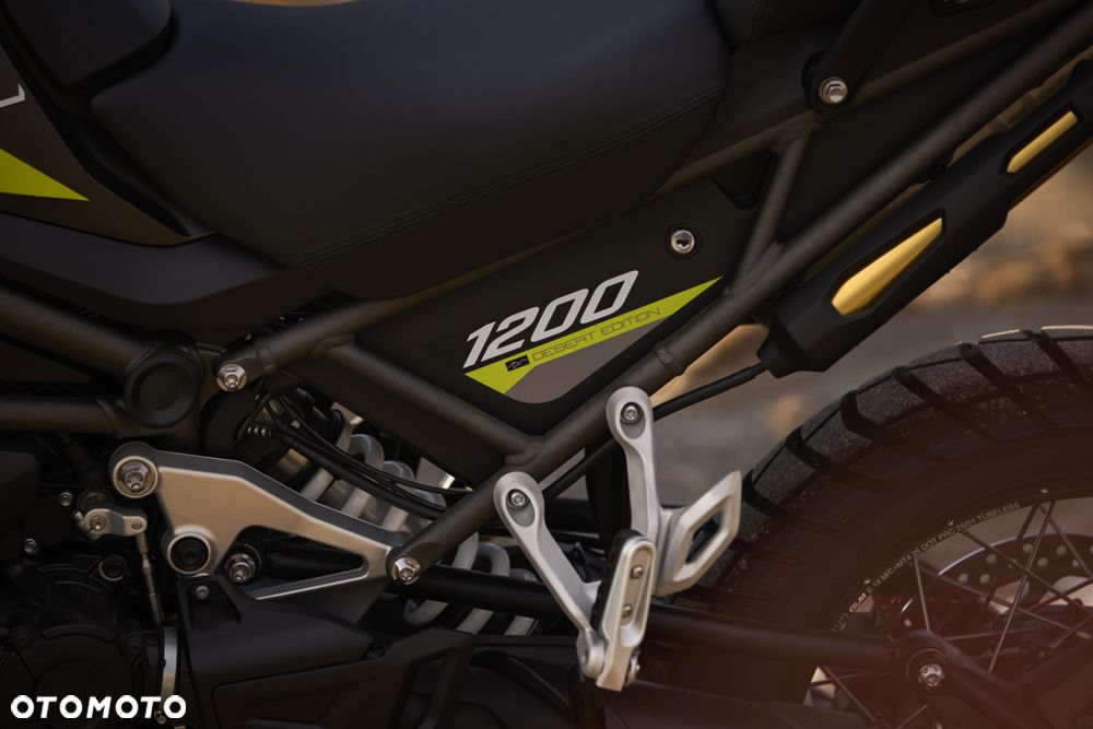 Triumph Tiger - 18