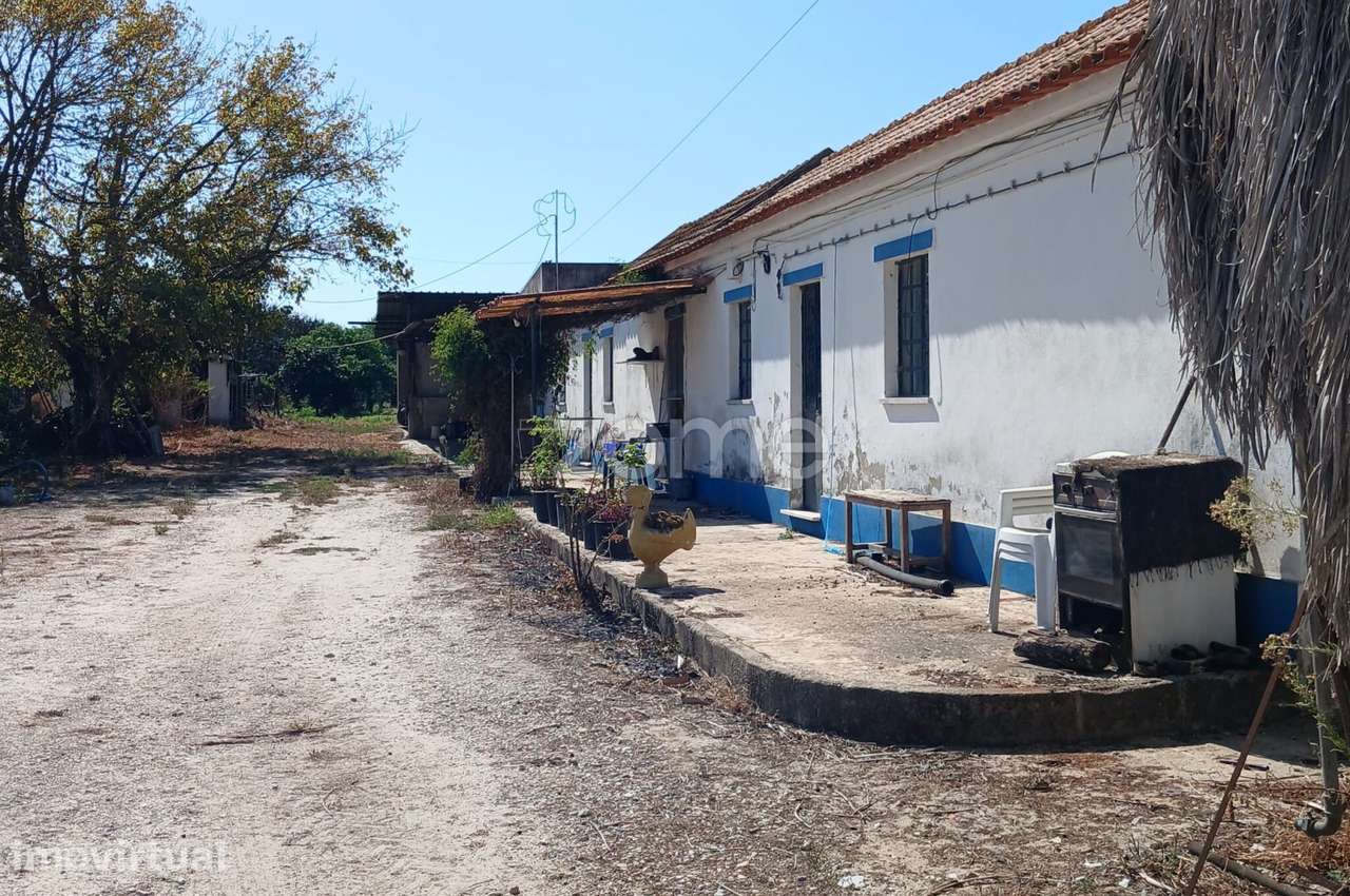 Quinta em Olhos de Água - Grande imagem: 5/15