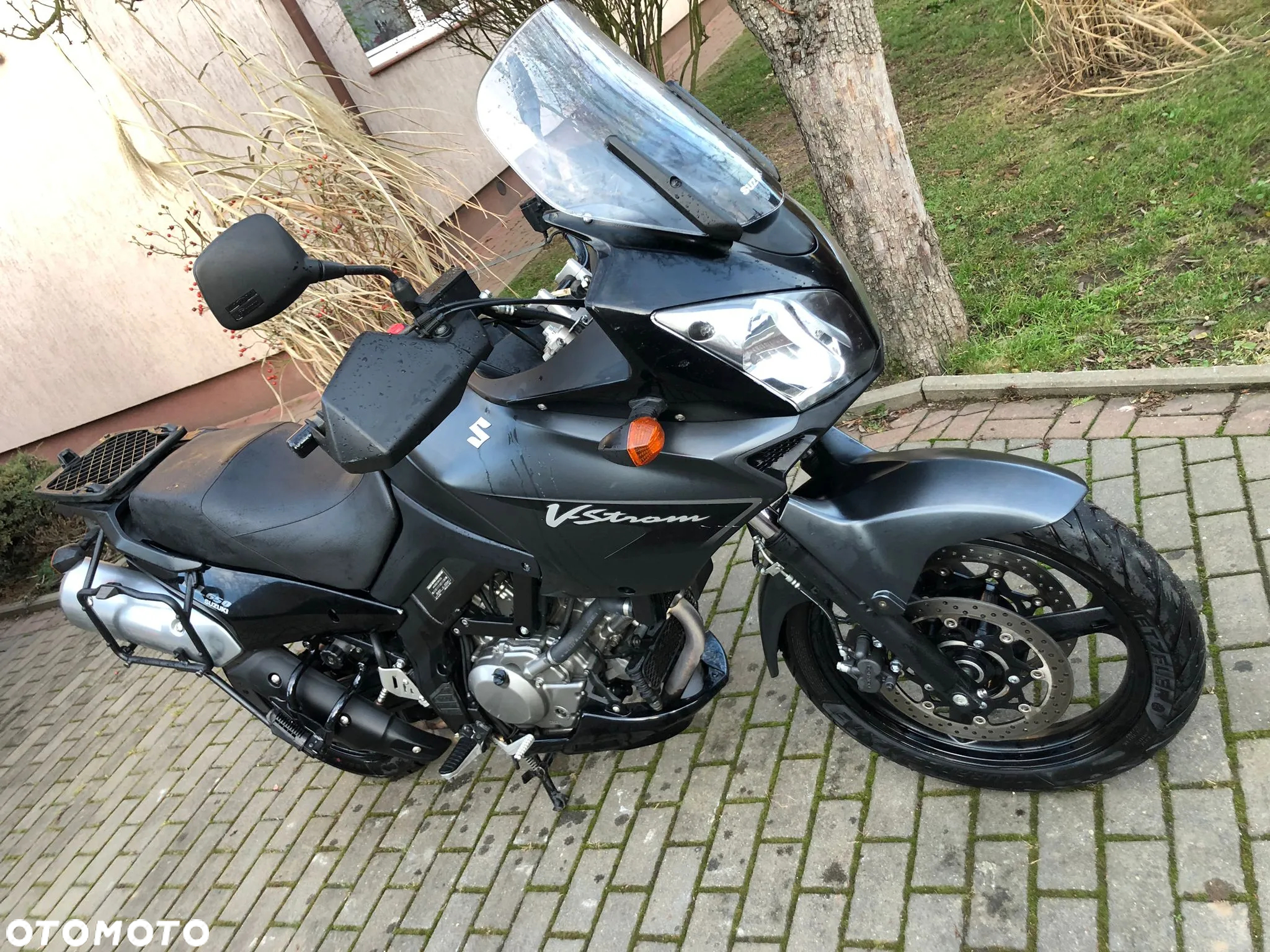 Suzuki DL - 7
