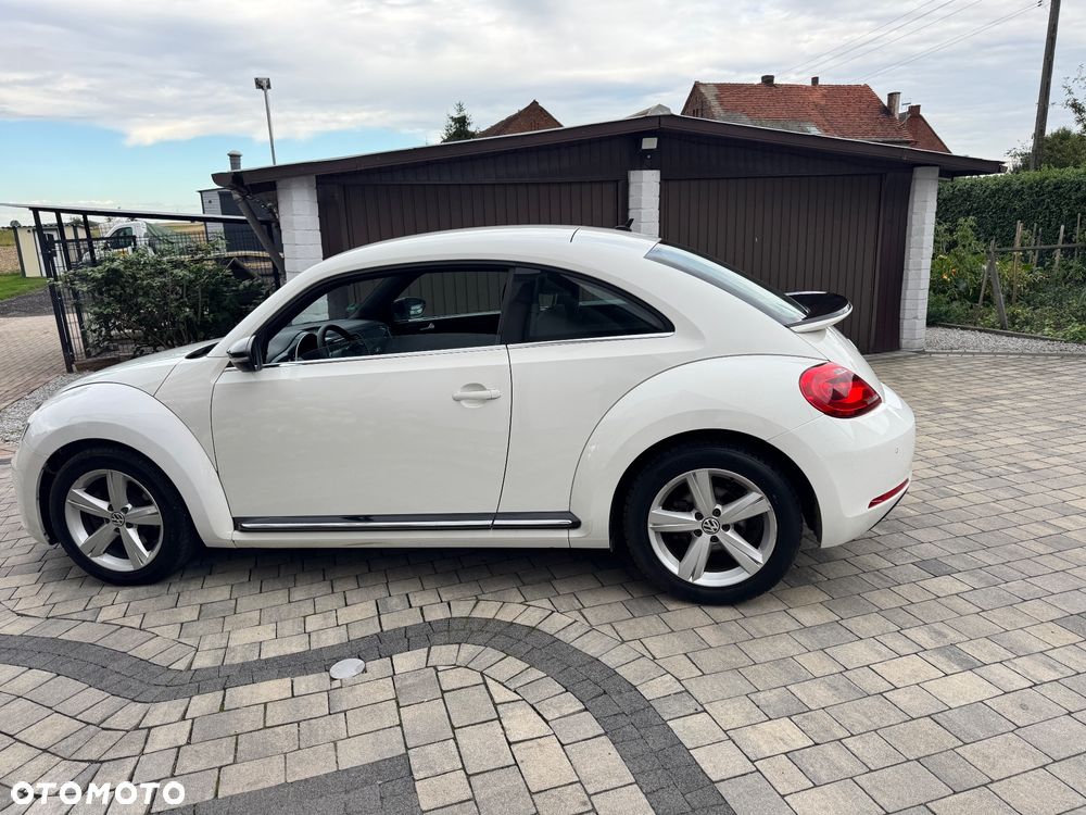 Volkswagen Beetle - 8