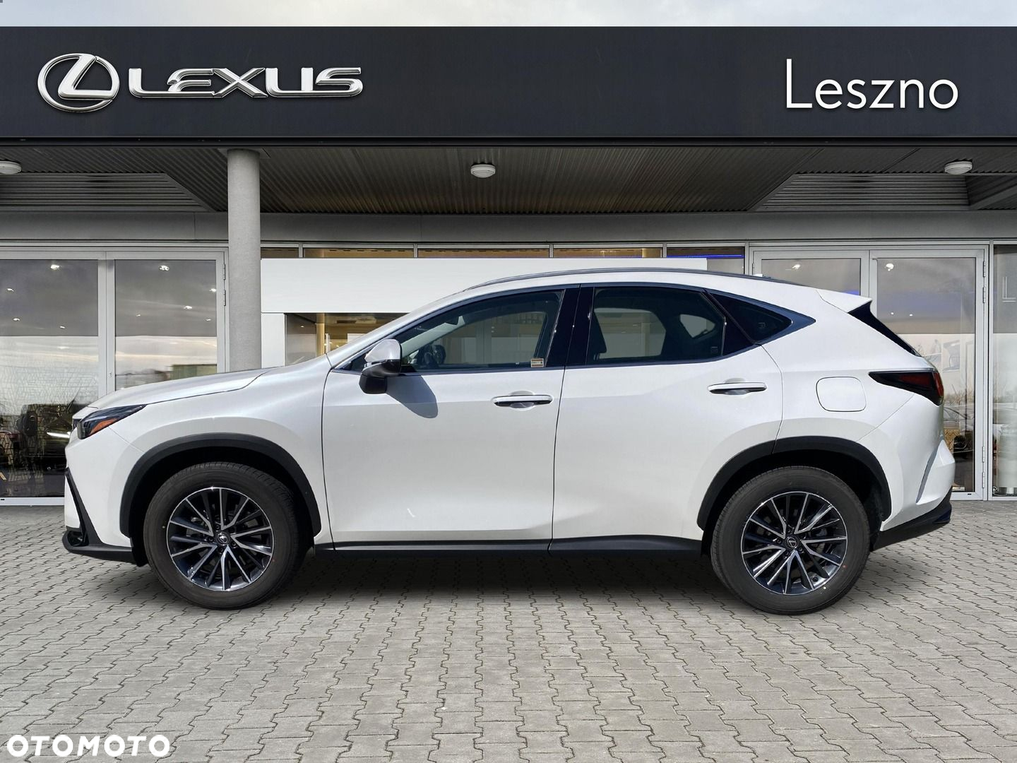 Lexus NX - 10