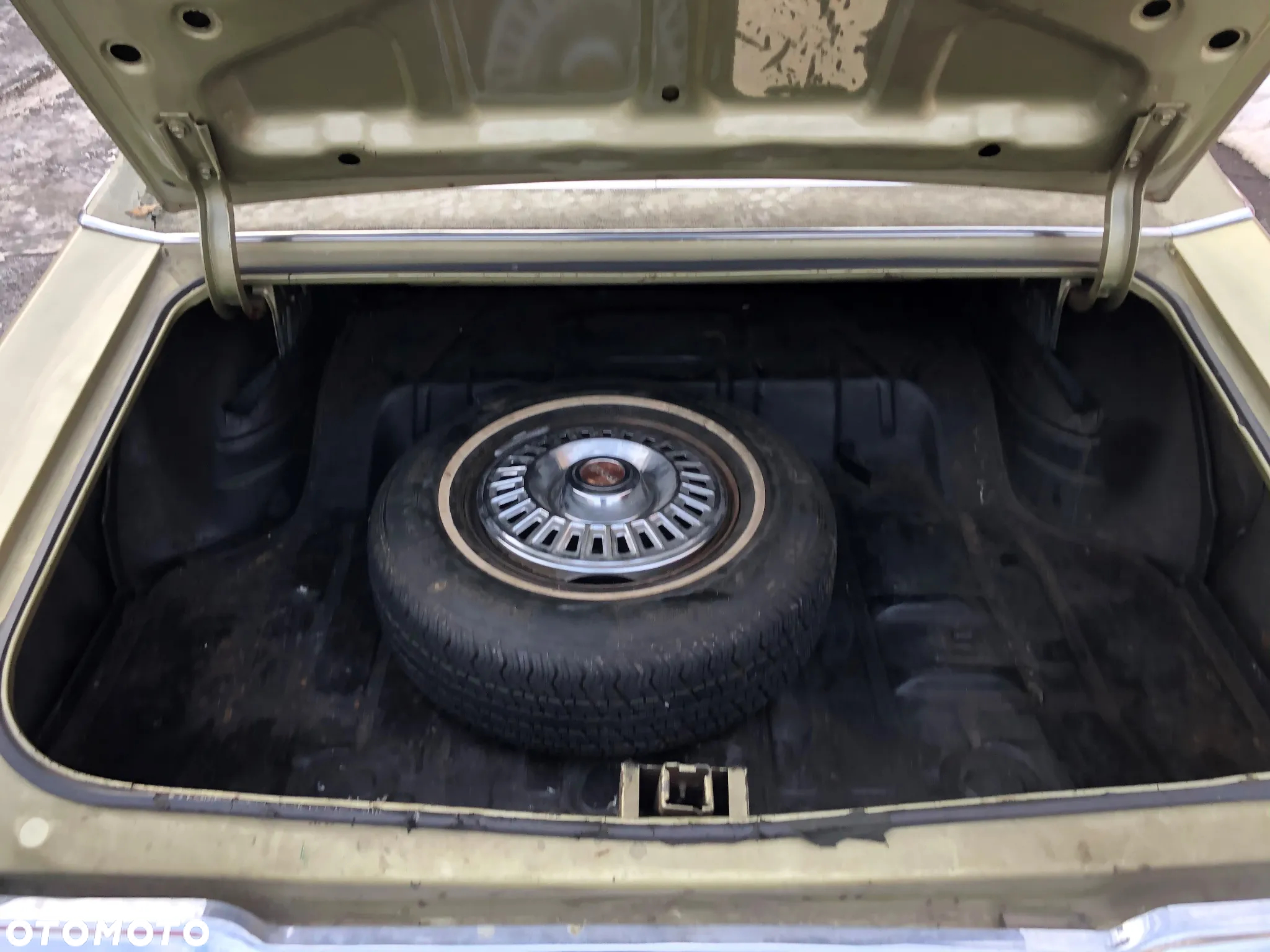 Pontiac Le Mans - 17