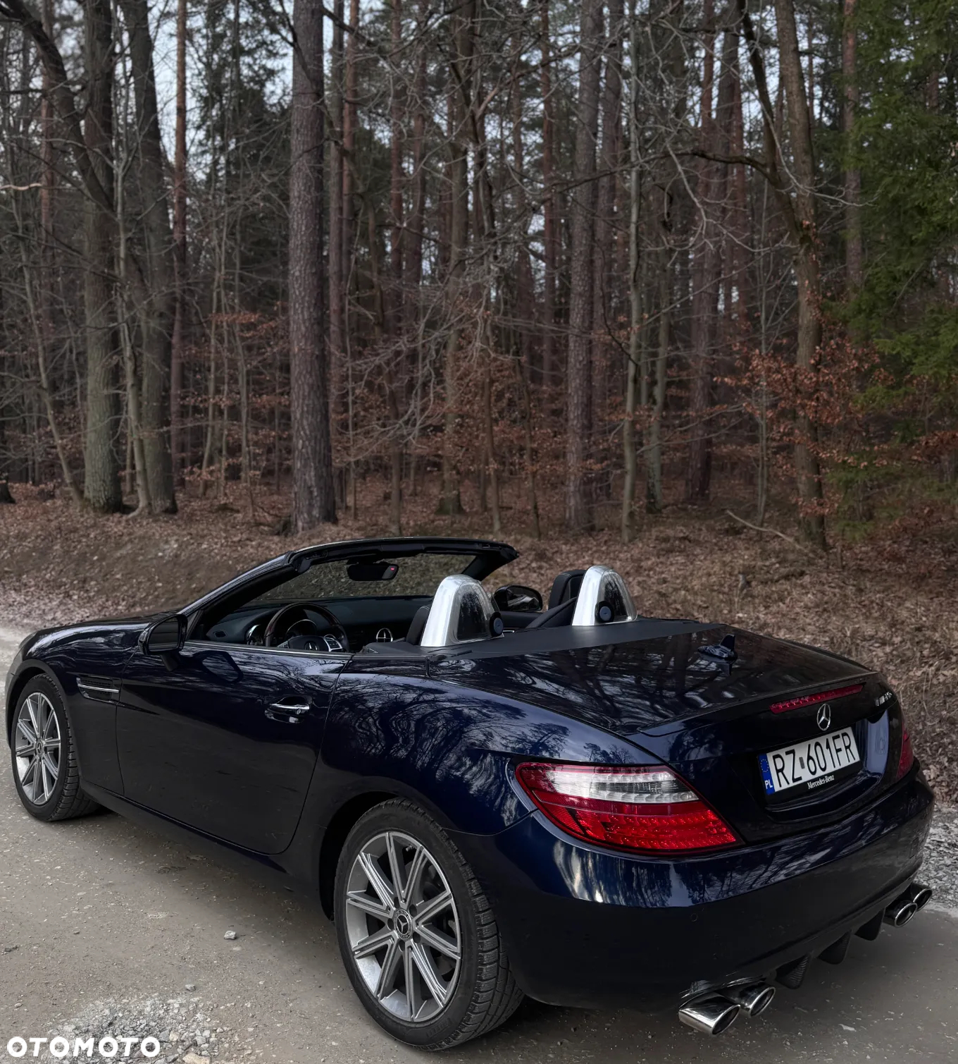 Mercedes-Benz SLK 350 (BlueEFFICIENCY) 7G-TRONIC - 3