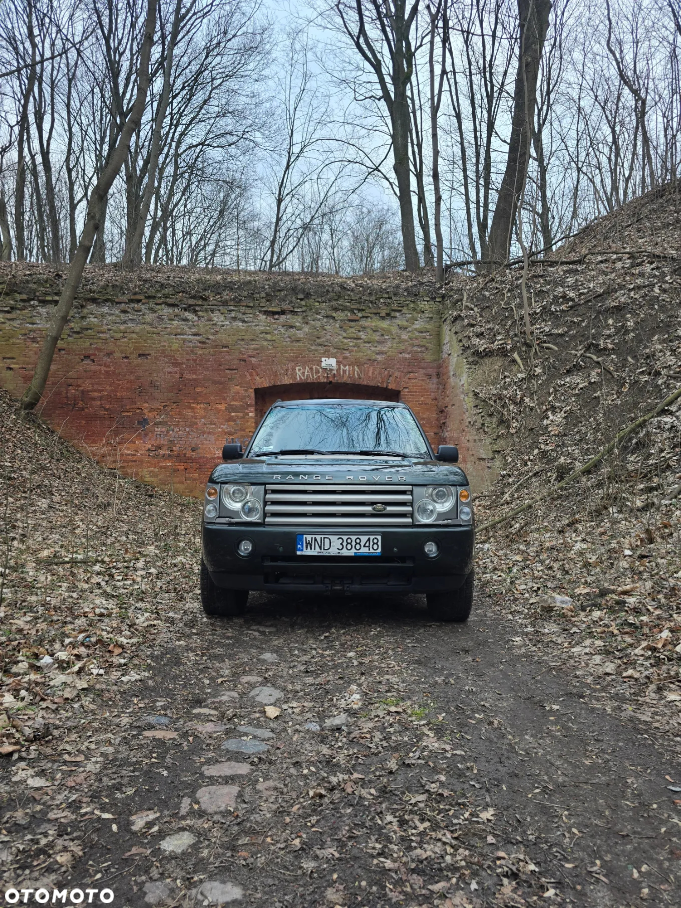 Land Rover Range Rover 3.0TD Vogue - 8