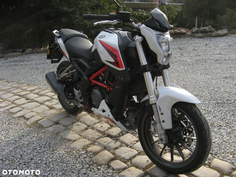 Benelli BN 251 - 3