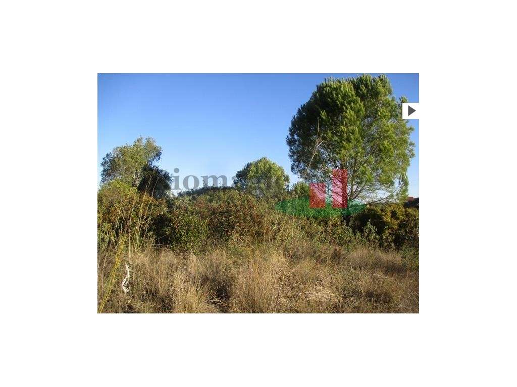 Terreno Urbano em Tomar - Grande imagem: 5/6