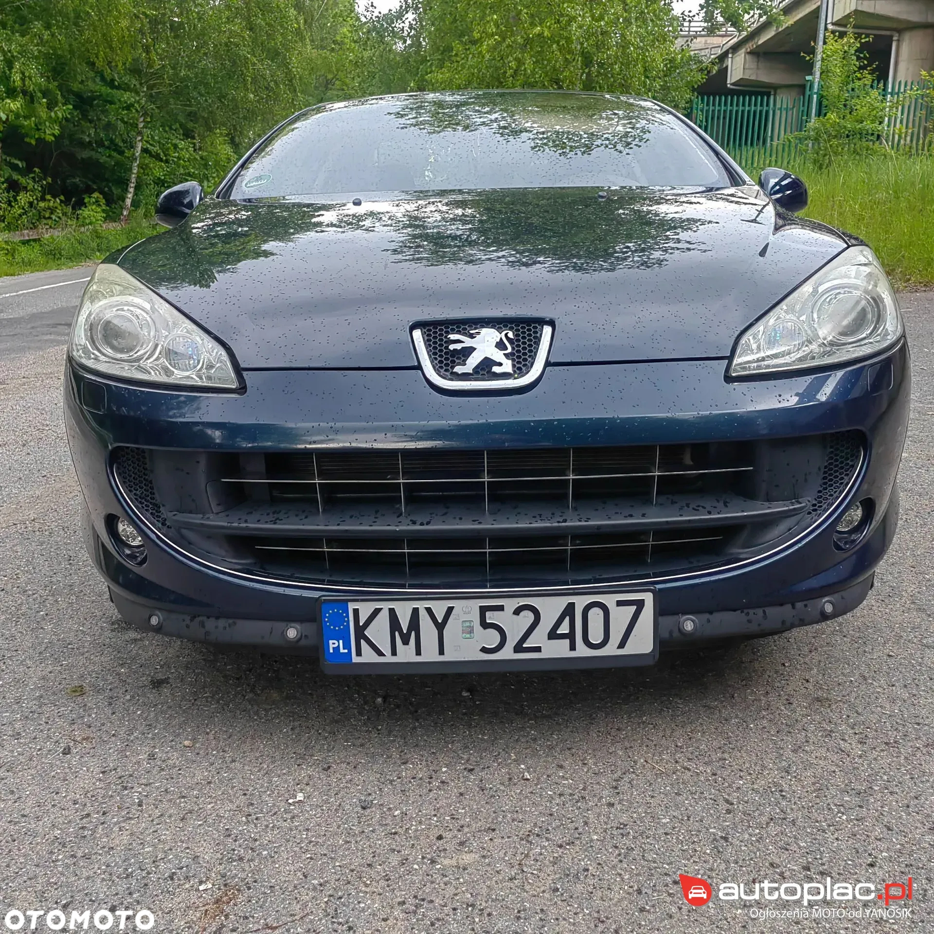 Peugeot 407 - 14