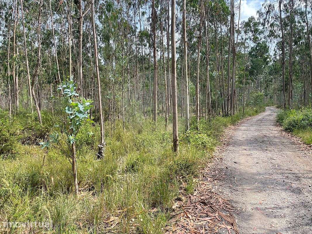 Terreno  para venda - Grande imagem: 2/5