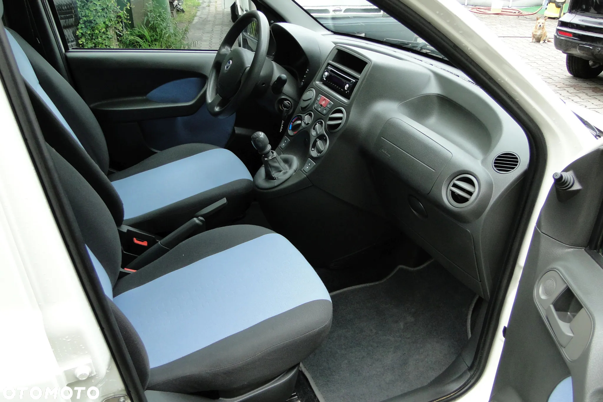 Fiat Panda 1.2 Dynamic Plus - 12