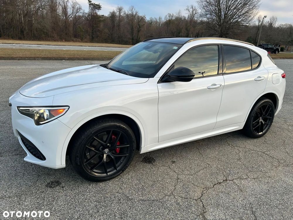Alfa Romeo Stelvio 2.0 Turbo 16V AT8-Q4 Ti - 3