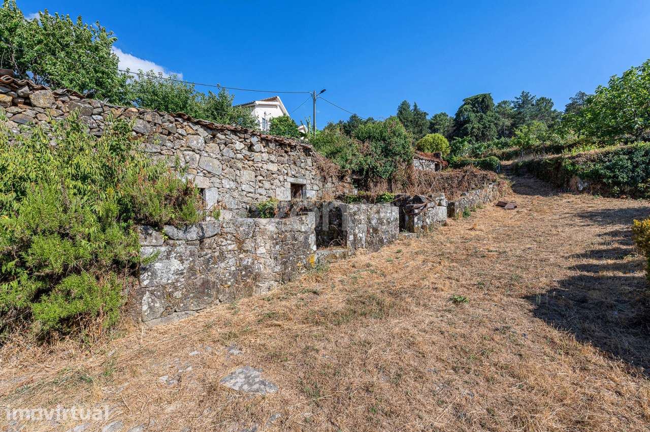 Casa Grande de Farejinhas, Castro Daire - Grande imagem: 3/42