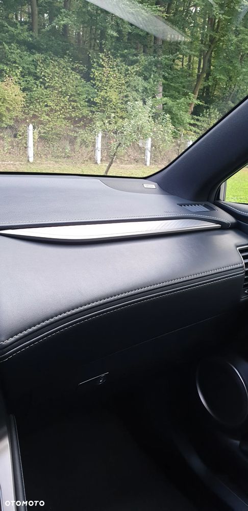 Lexus NX 300h F Sport AWD - 26