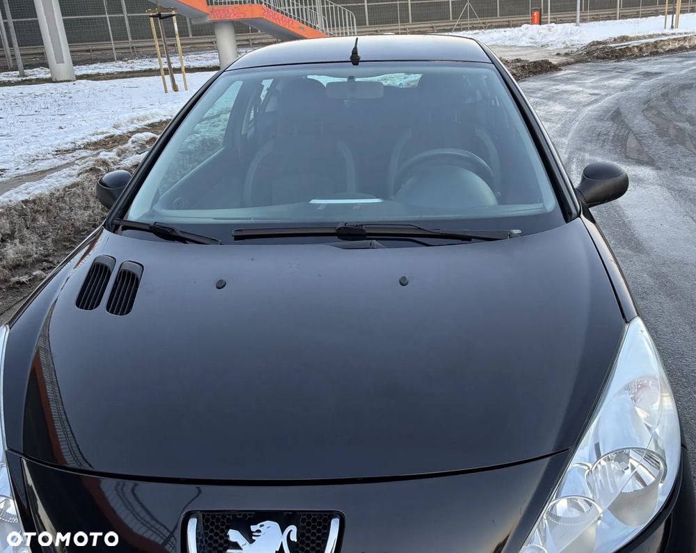 Peugeot 206 plus 60 - 39