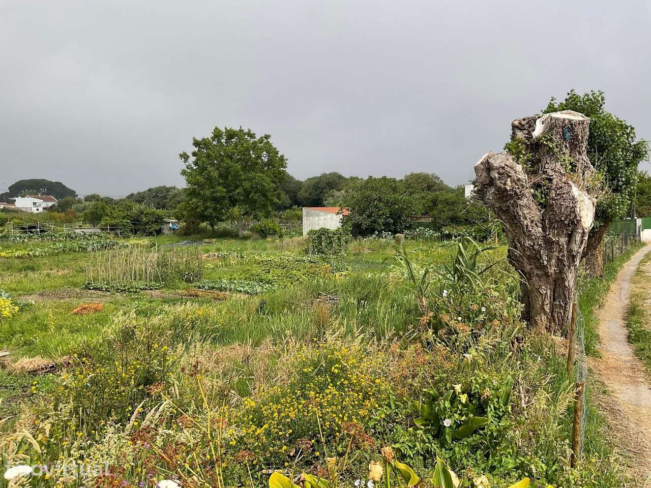 Terreno Aprovado para Projeto em Viana do Castelo - Grande imagem: 4/12
