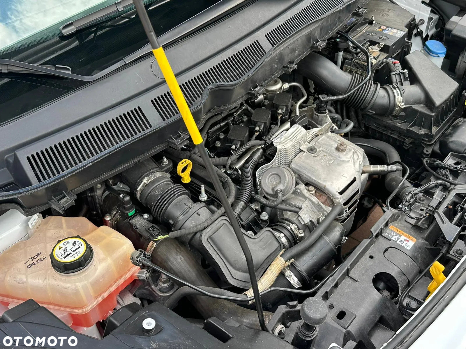 Ford Tourneo Courier 1.0 EcoBoost Ambiente - 25