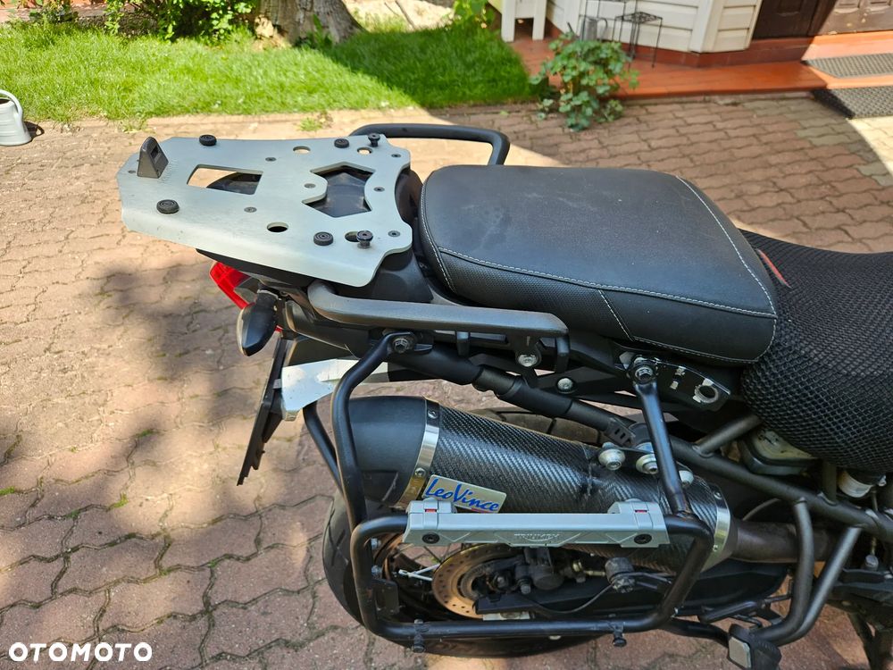 Triumph Tiger - 19
