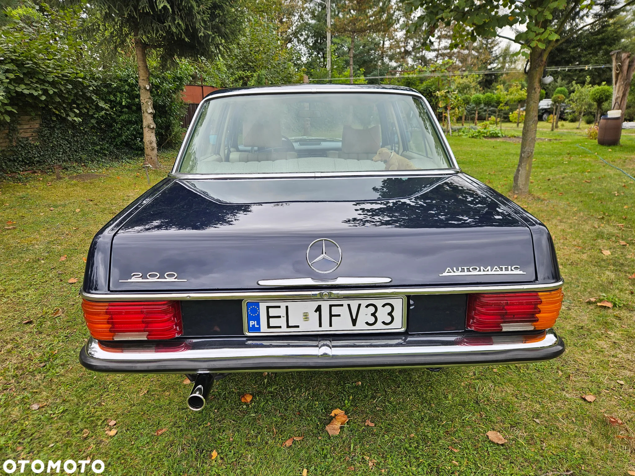 Mercedes-Benz Inny - 6