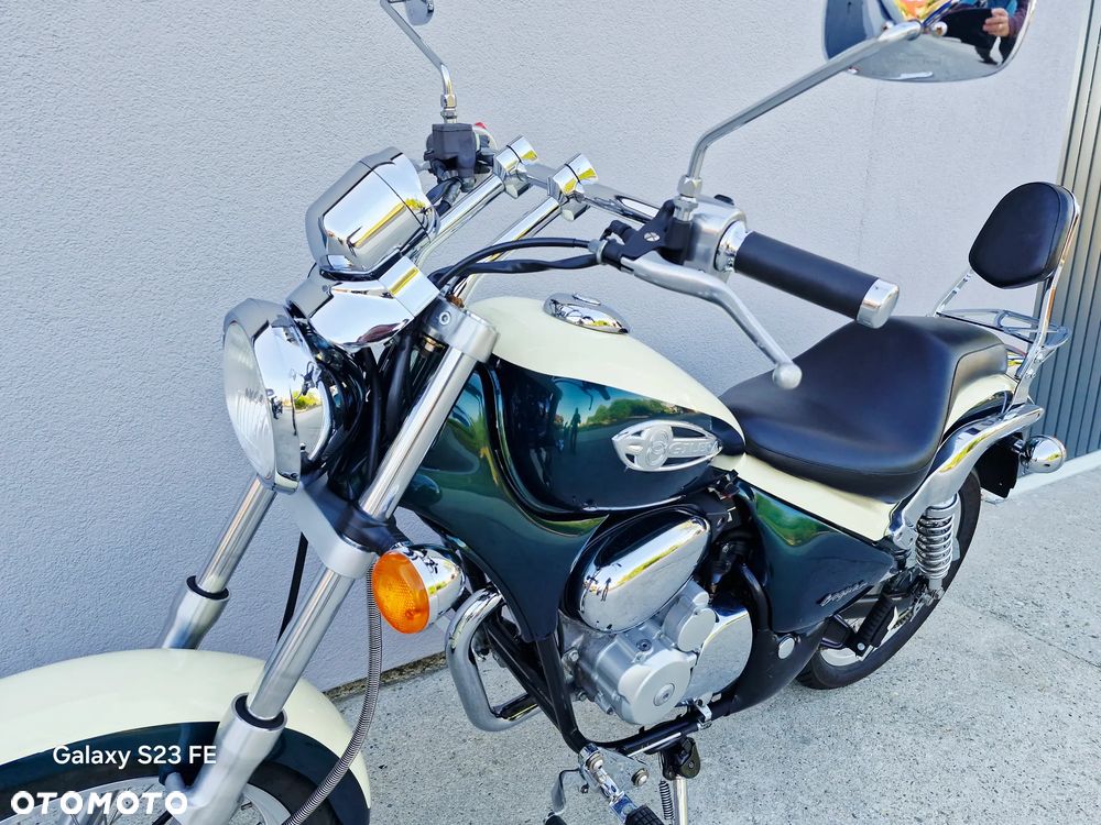 Gilera Cougar - 14